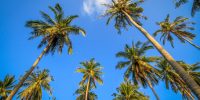 CETESB participa do painel “Gestão de resíduos sólidos no Brasil: desafios e oportunidades”.