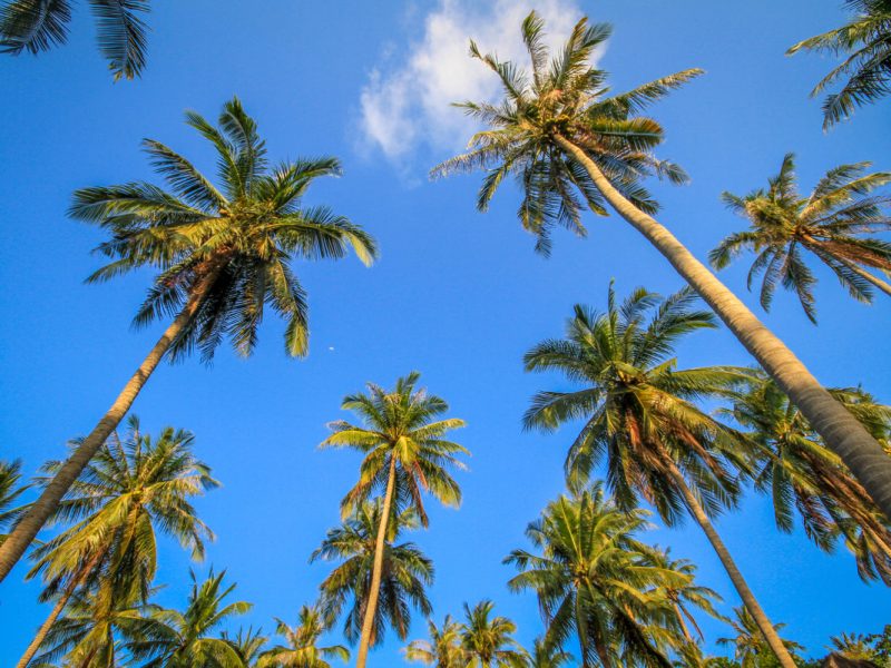 CETESB participa do painel “Gestão de resíduos sólidos no Brasil: desafios e oportunidades”.